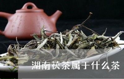 湖南茯茶属于什么茶/2023031930492