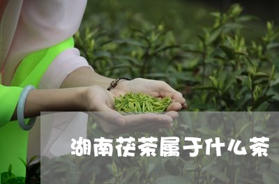 湖南茯茶属于什么茶/2023041574038