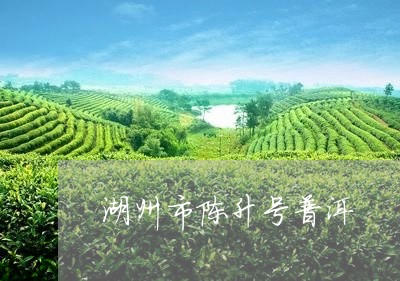 湖州市陈升号普洱/2023032923027