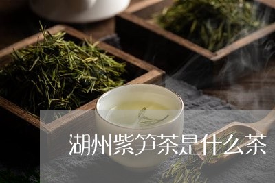 湖州紫笋茶是什么茶/2023041599370