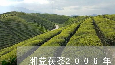 湘益茯茶2006年/2023041648481