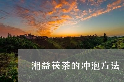 湘益茯茶的冲泡方法/2023032190381