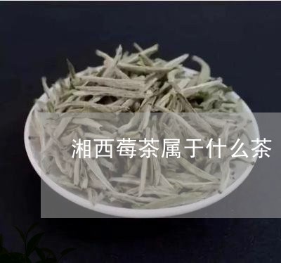 湘西莓茶属于什么茶/2023031992838