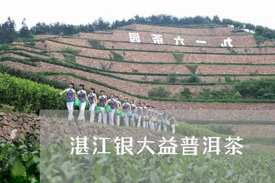 湛江银大益普洱茶/2023040108515