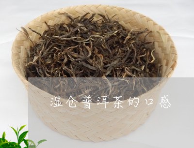 湿仓普洱茶的口感/2023040167471