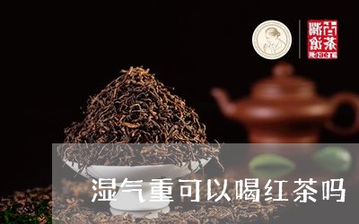 湿气重可以喝红茶吗/2023041589683