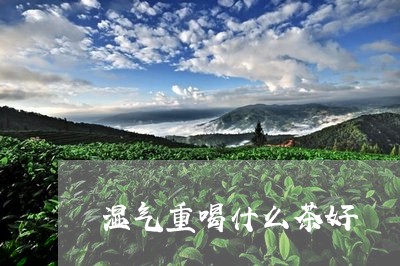 湿气重喝什么茶好/2023041221827