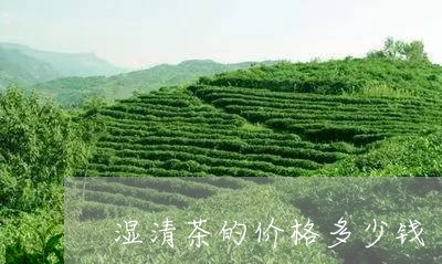 湿清茶的价格多少钱/2023032117379