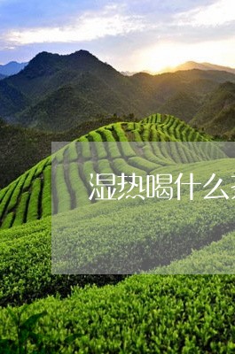 湿热喝什么茶效果好/2023041572735