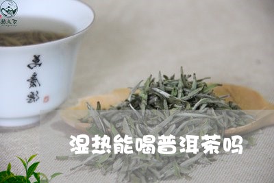 湿热能喝普洱茶吗/2023031680805