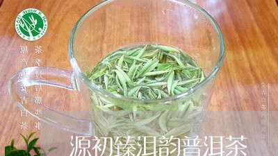 源初臻洱韵普洱茶/2023031882056