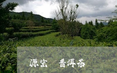 源宏廣普洱茶喬記/2023033160684