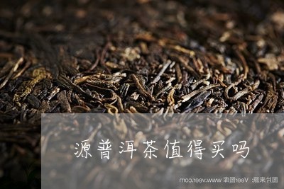 源普洱茶值得买吗/2023031718268