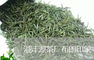 溢沣源茶厂布朗印象/2023041668480