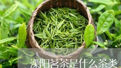 溧阳茗茶是什么茶类/2023032181591