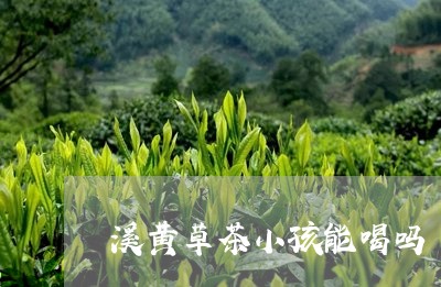 溪黄草茶小孩能喝吗/2023041448482