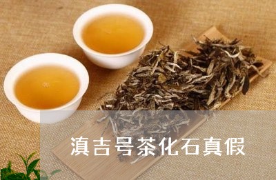 滇吉号茶化石真假/2023032479483