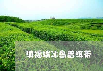 滇福瑞冰岛普洱茶/2023041363906