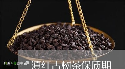 滇红古树茶保质期/2023032955369