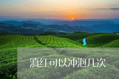 滇红可以冲泡几次/2023033008503