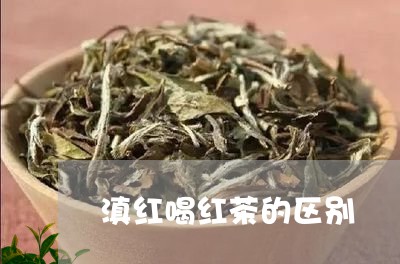 滇红喝红茶的区别/2023032988591