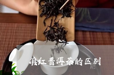 滇红普洱茶的区别/2023040983958