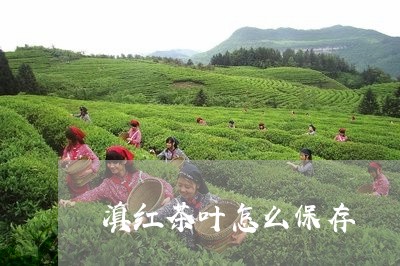 滇红茶叶怎么保存/2023032992737