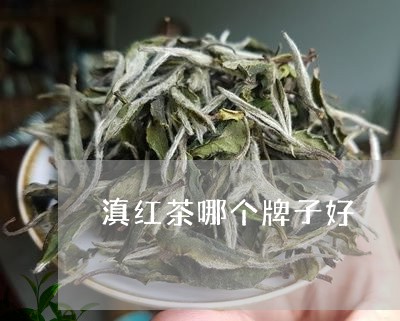 滇红茶哪个牌子好/2023041374037