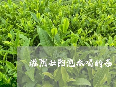 滋阴壮阳泡水喝的茶/2023041436069