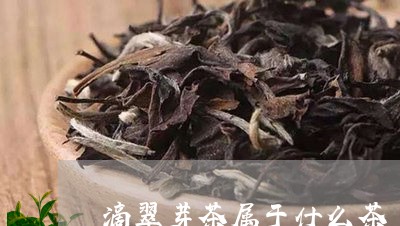 滴翠芽茶属于什么茶/2023041585148