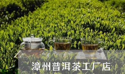 漳州普洱茶工厂店/2023031797270