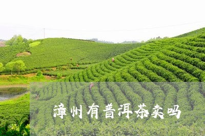 漳州有普洱茶卖吗/2023041197271