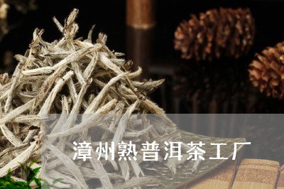 漳州熟普洱茶工厂/2023031605158