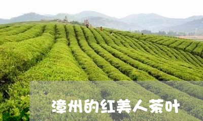 漳州的红美人茶叶/2023032638159