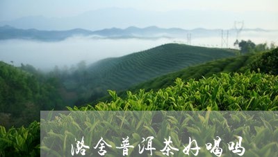 潞舍普洱茶好喝吗/2023041257360