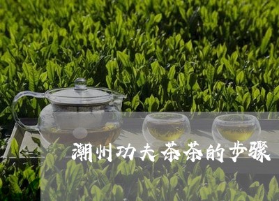 潮州功夫茶茶的步骤/2023041708471