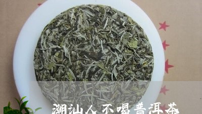 潮汕人不喝普洱茶/2023041308291