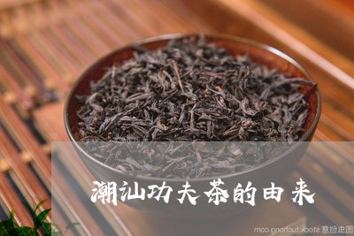 潮汕功夫茶的由来/2023032534958