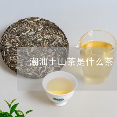 潮汕土山茶是什么茶/2023041514038