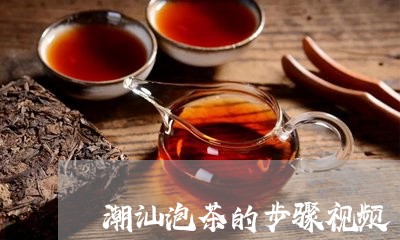 潮汕泡茶的步骤视频/2023041696461