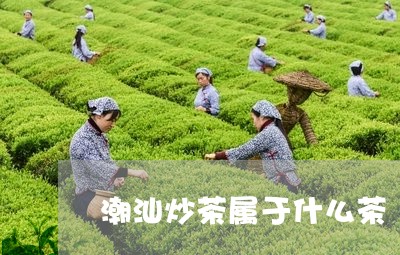 潮汕炒茶属于什么茶/2023031961836