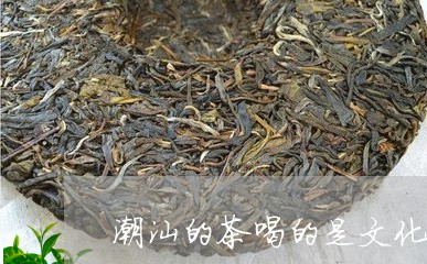 潮汕的茶喝的是文化/2023041499372