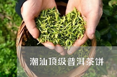 潮汕顶级普洱茶饼/2023041322937