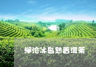 澜沧冰岛熟普洱茶/2023031737472