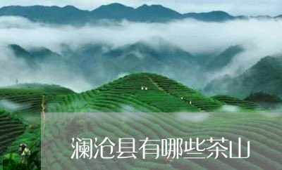 澜沧县有哪些茶山/2023031855048