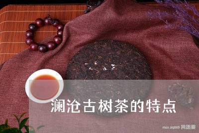 澜沧古树茶的特点/2023032658462