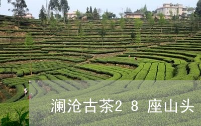 澜沧古茶28座山头/2023032135058