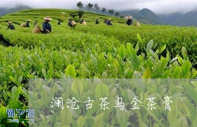 澜沧古茶乌金茶膏/2023041347358