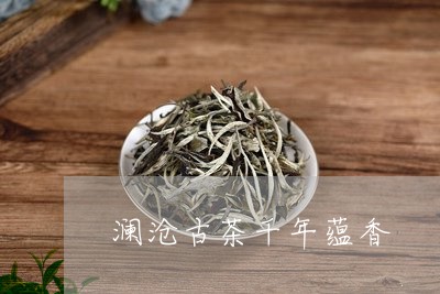 澜沧古茶千年蕴香/2023032450704