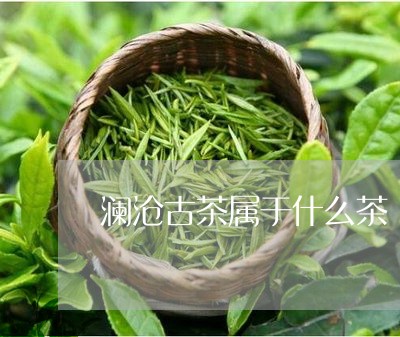 澜沧古茶属于什么茶/2023041729381